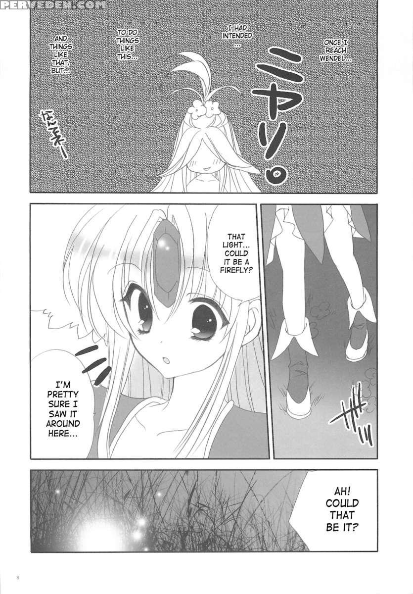 Fairy Rose 1