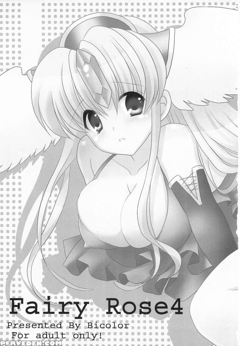 Fairy Rose4 1