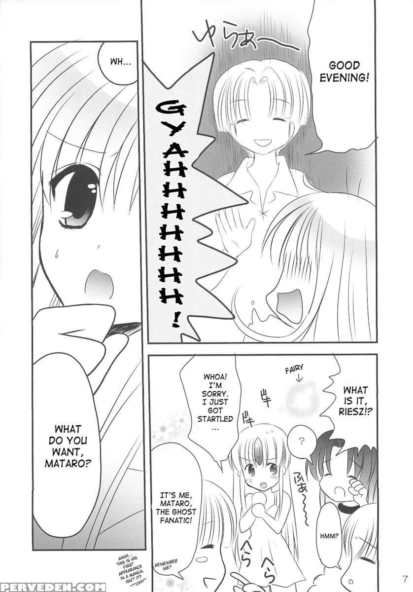 Fairy Rose4 1