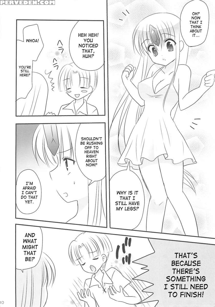 Fairy Rose4 1