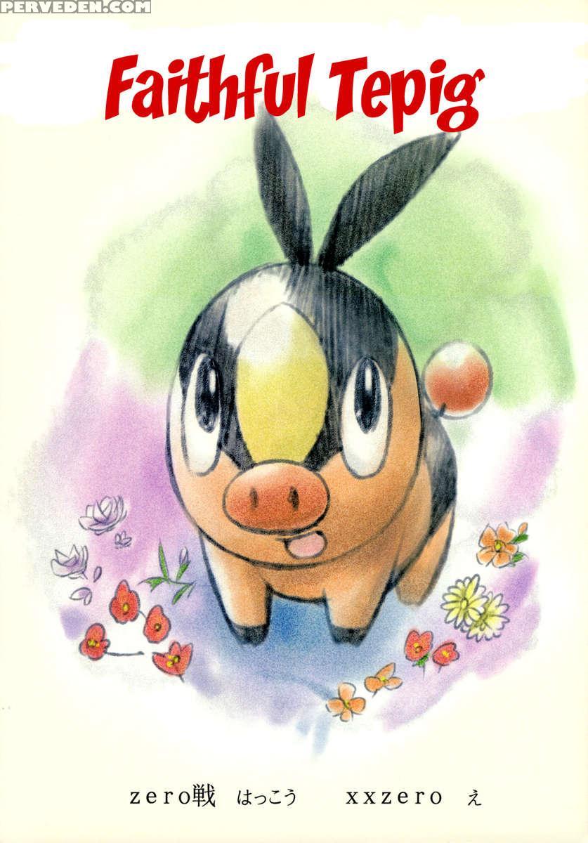 Faithful Tepig 1