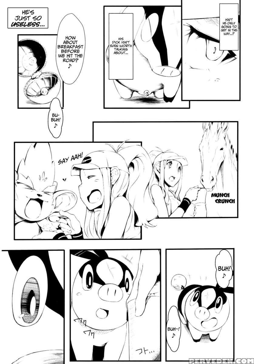 Faithful Tepig 1