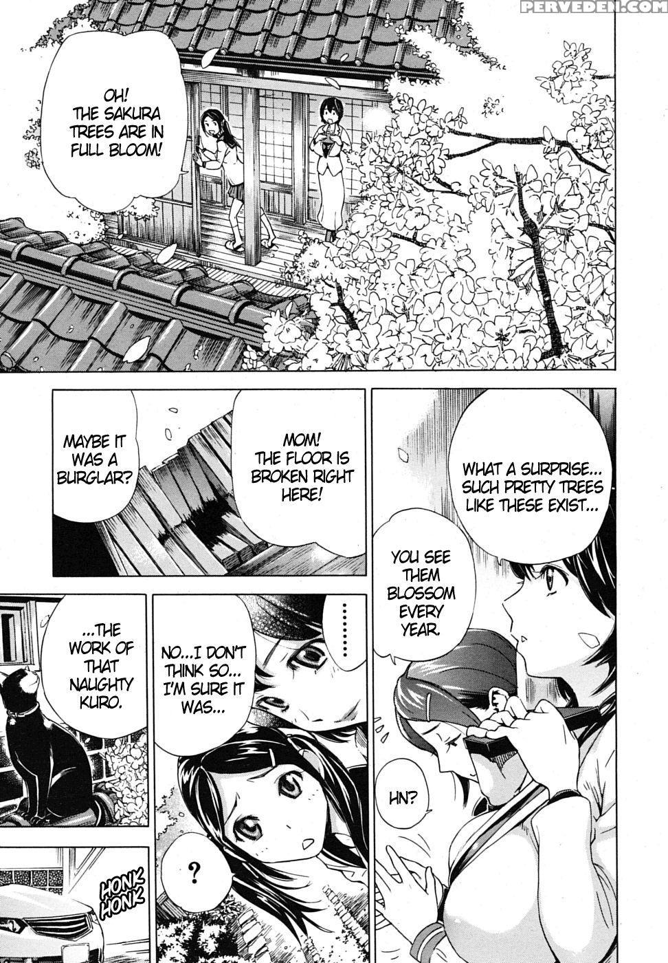 First Love - Sasagawa Hayashi 1