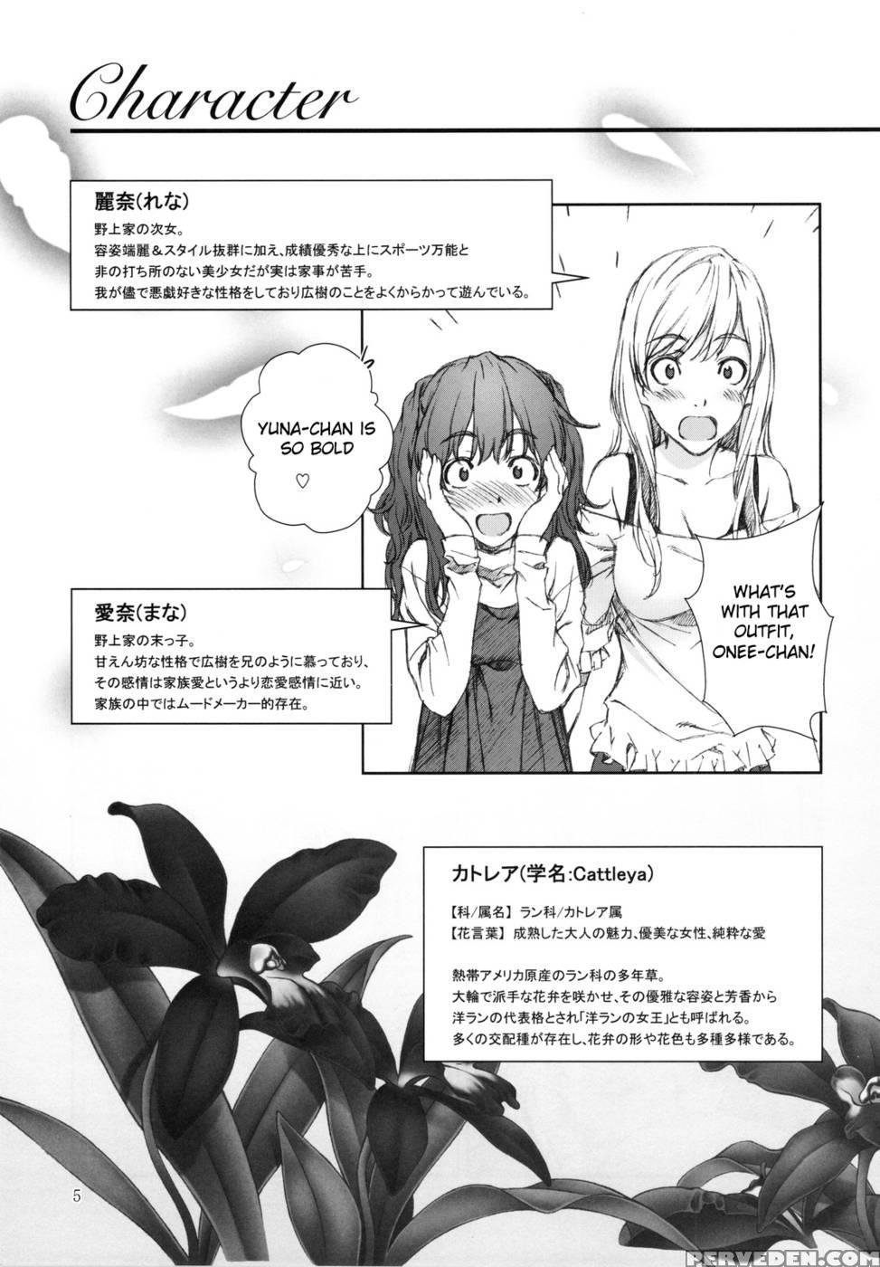 Floriography -cattleya- - Crank.in 1