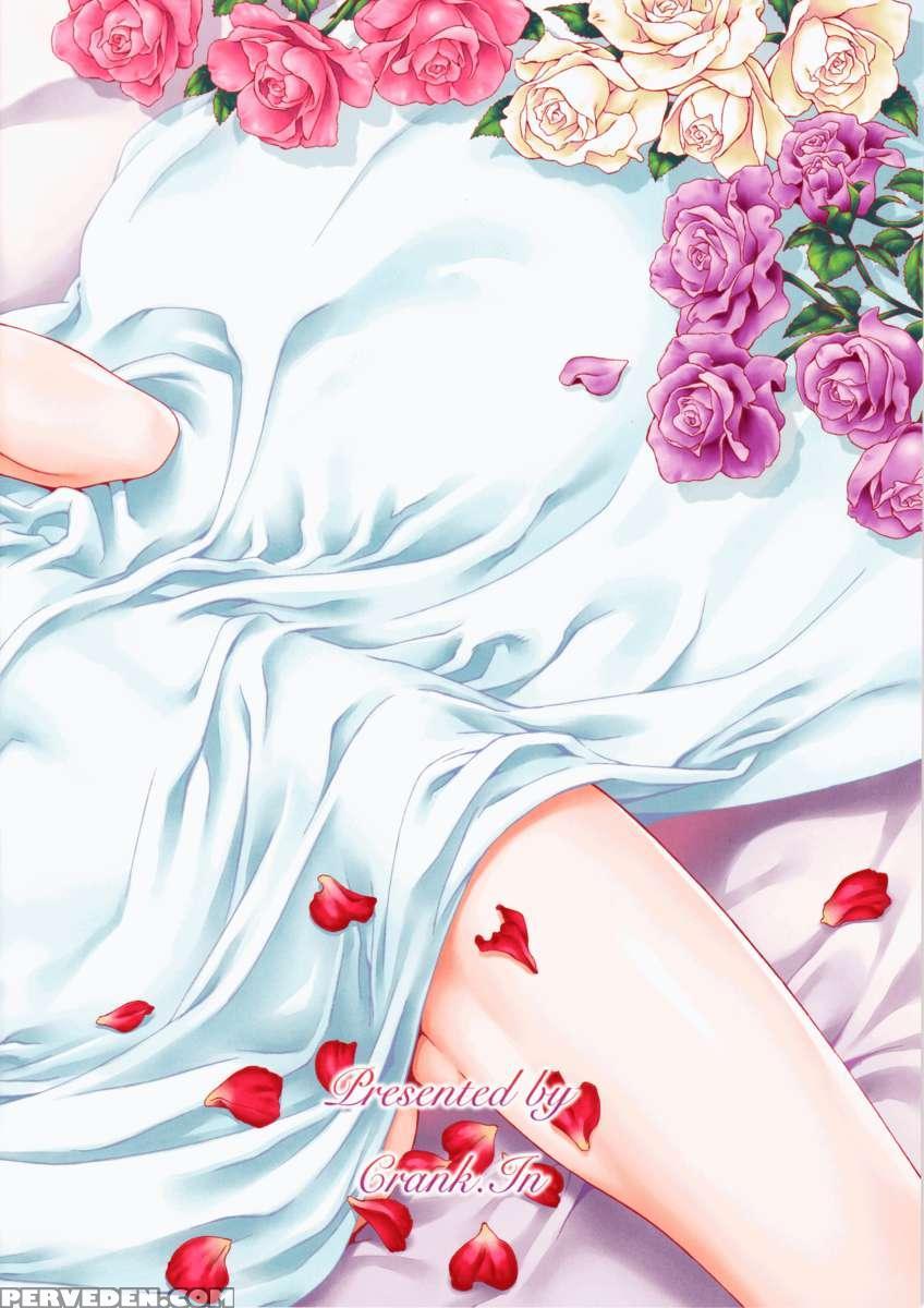 Floriography ~rose~ 1