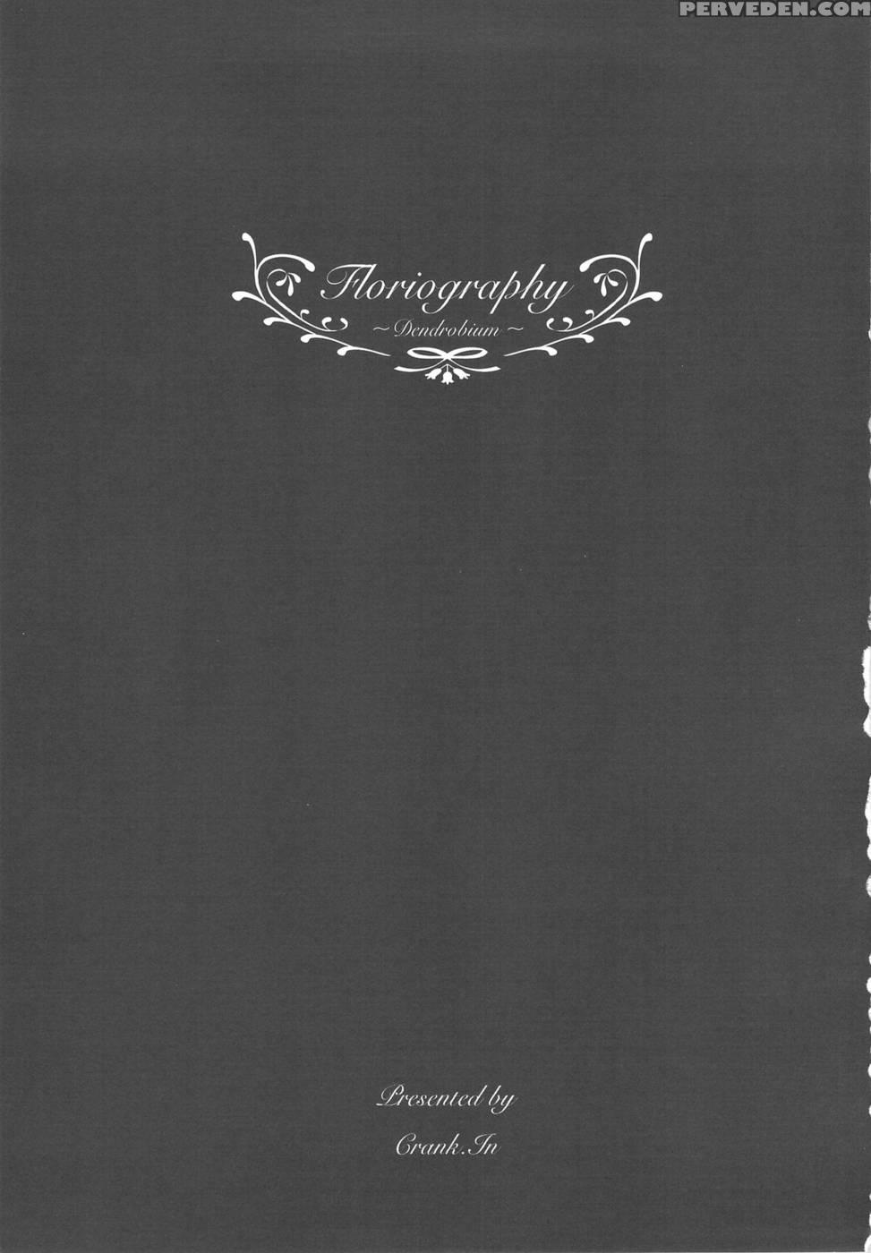 Floriography-dendrobium- - Crank.in 1