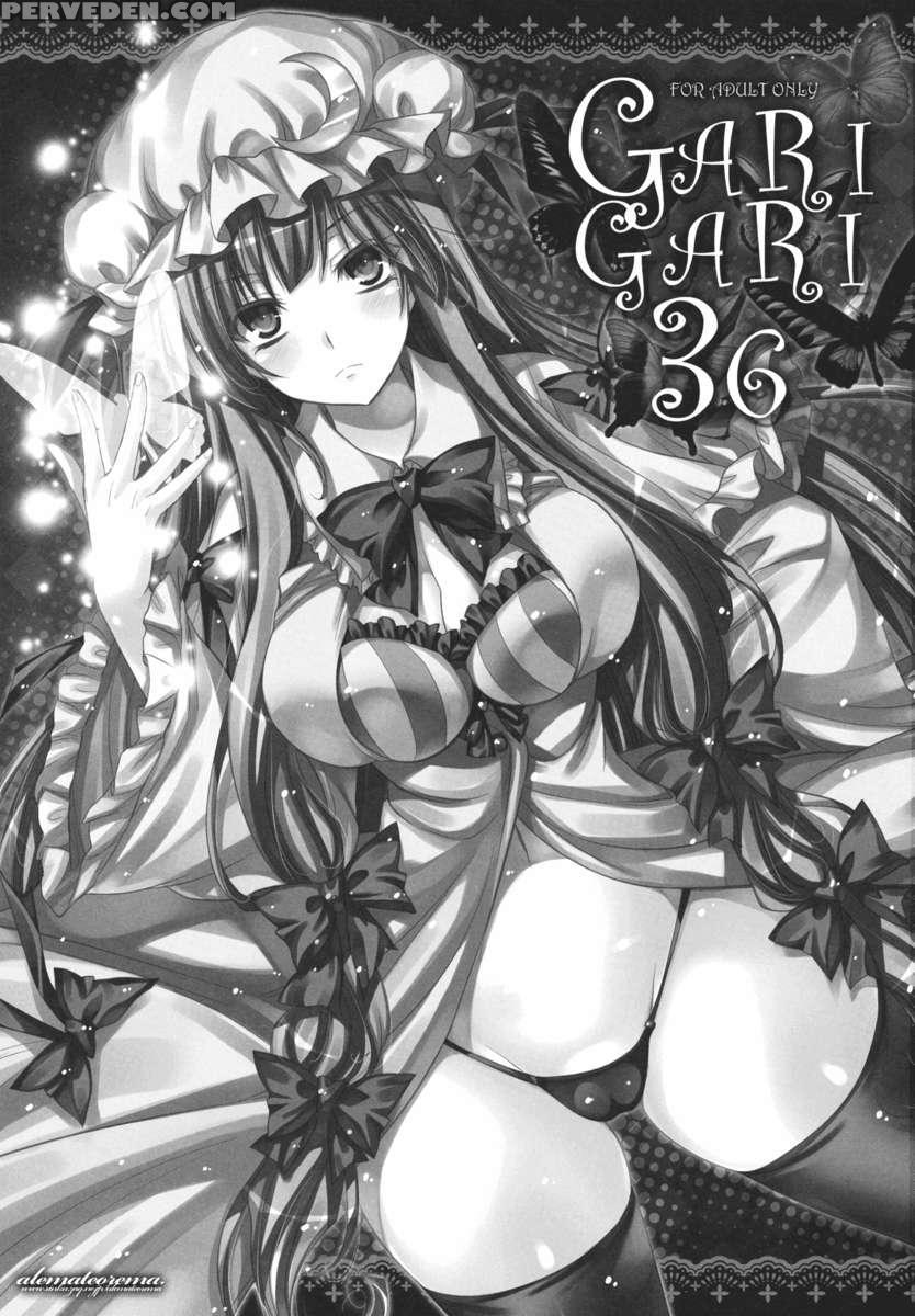 Garigari36 1