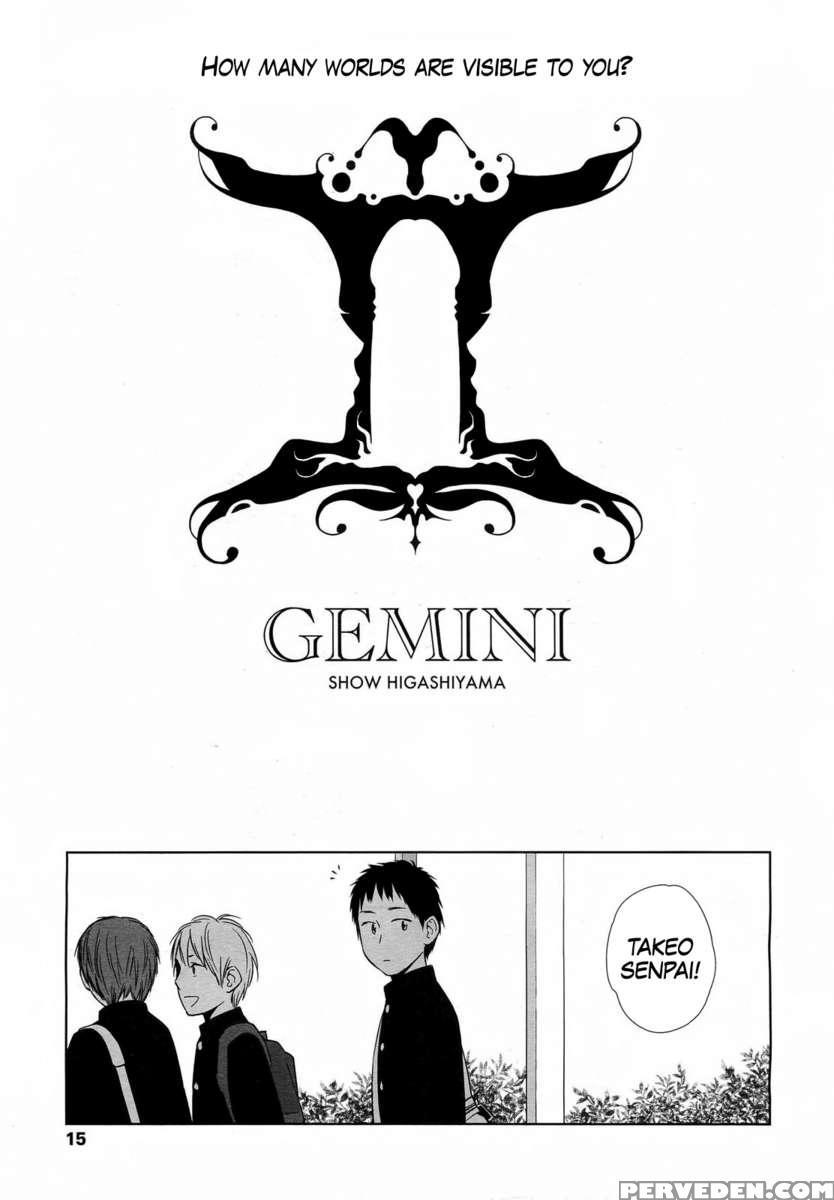 Gemini 1