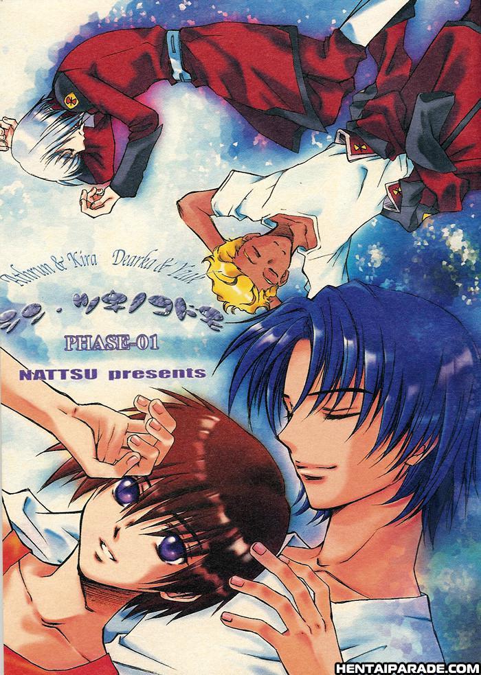 Gundam Seed Dj - Shin Tsuki No Kodomo 1