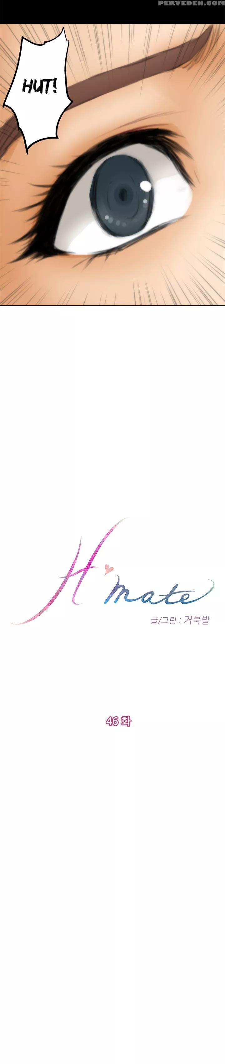H-mate 46-55 [english] 1