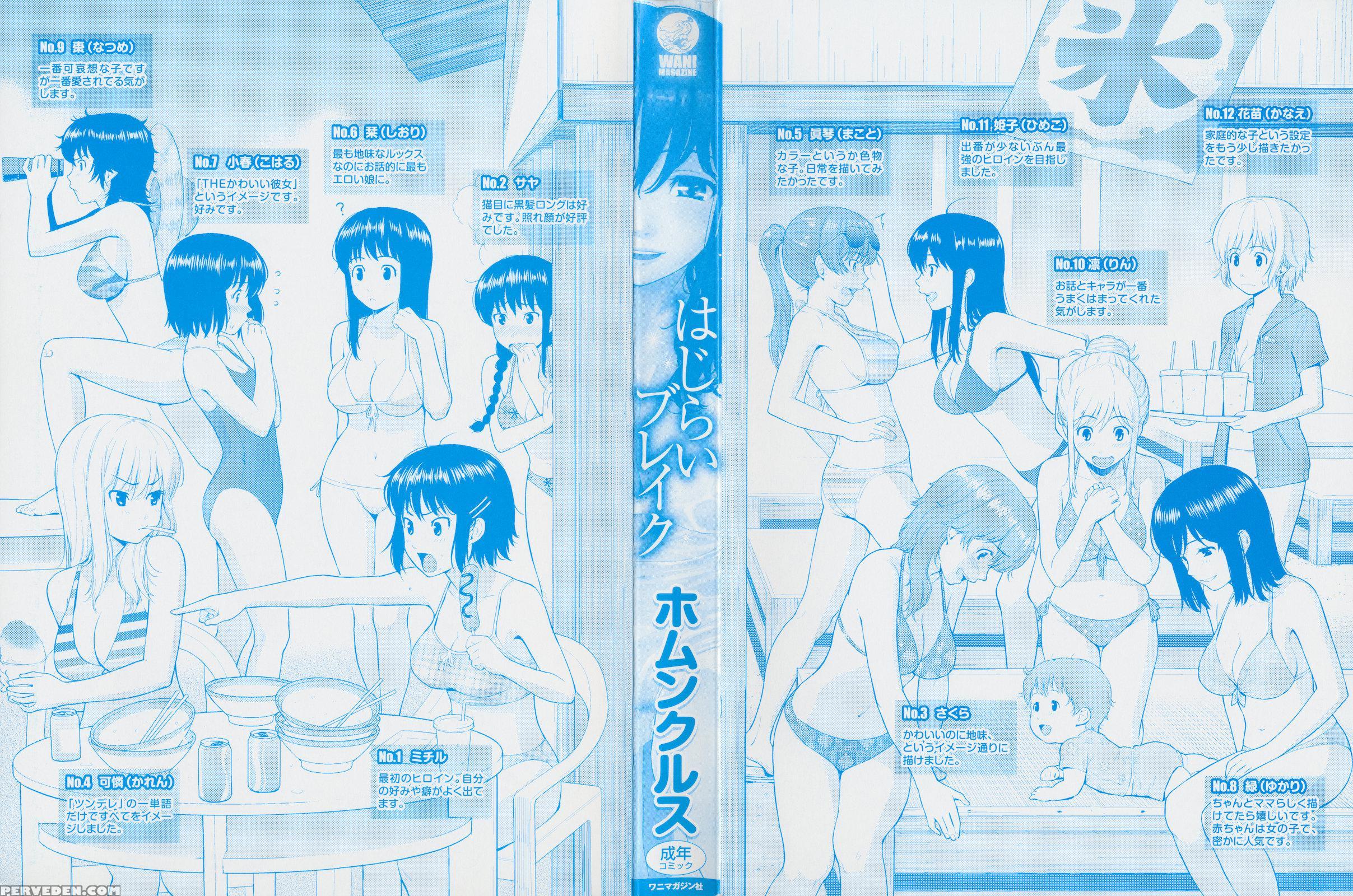 Hajirai Break Manga 1