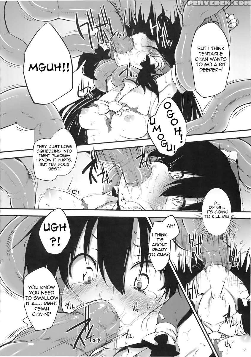 Hakurei Jinjya No Saisenbako 1