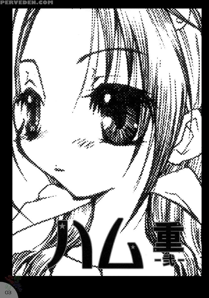 Hamu-e 2 1