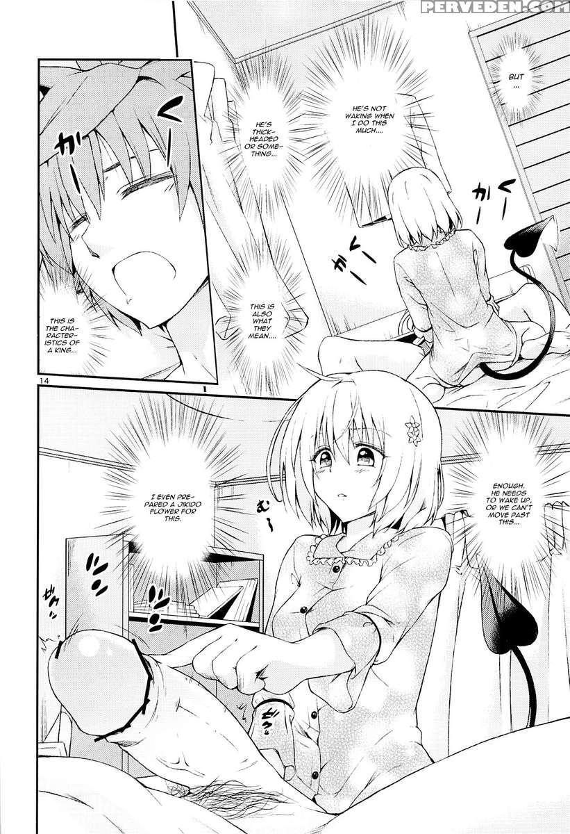 Harem Keikaku Shidou 1