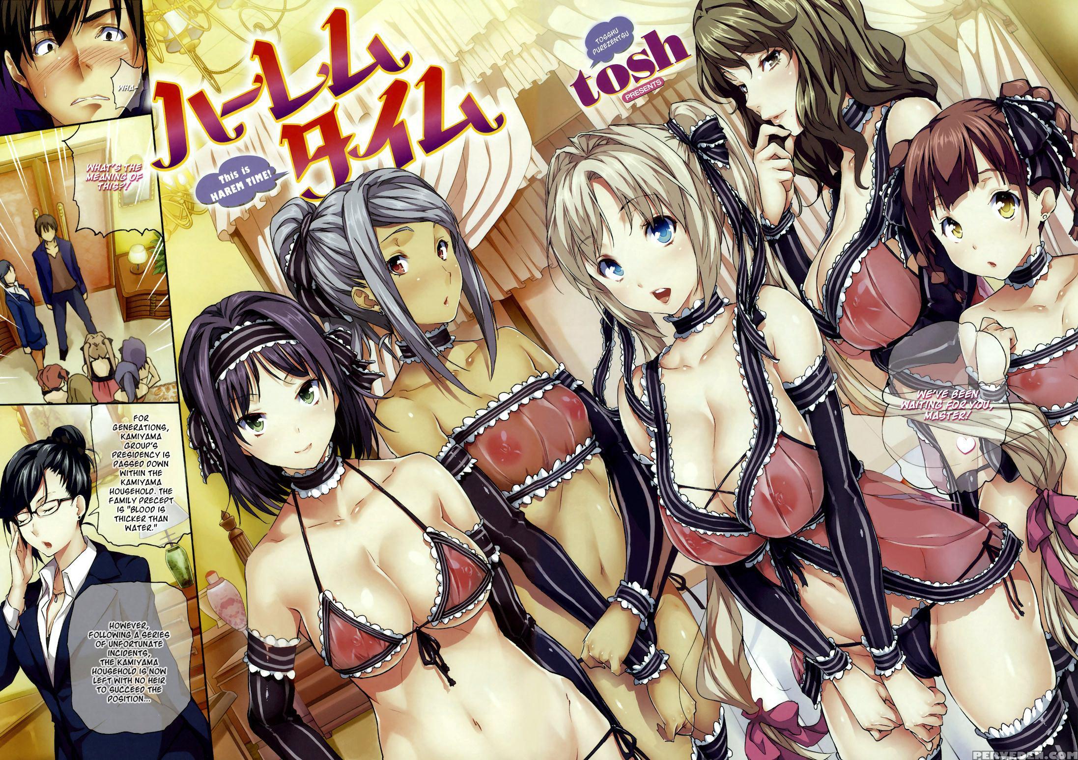 Harem Time! - Original Work 1