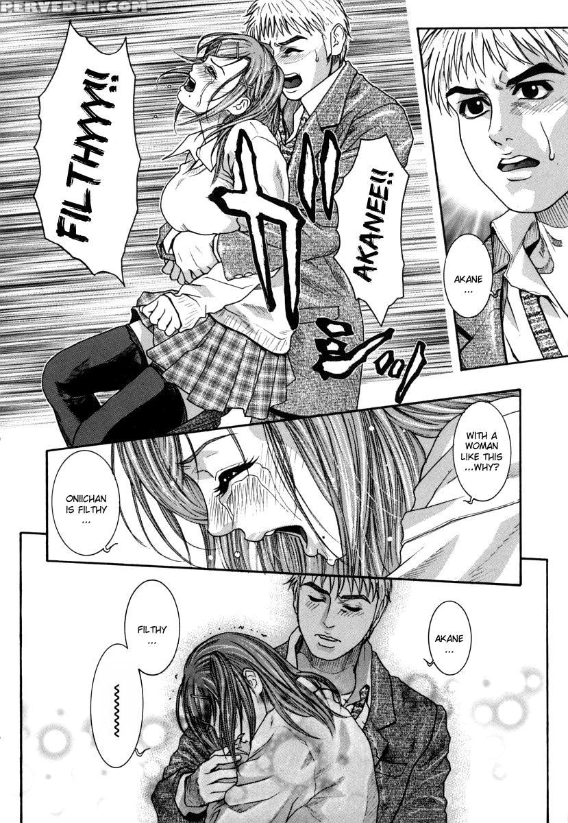 Hatsujou Mitsueki 1
