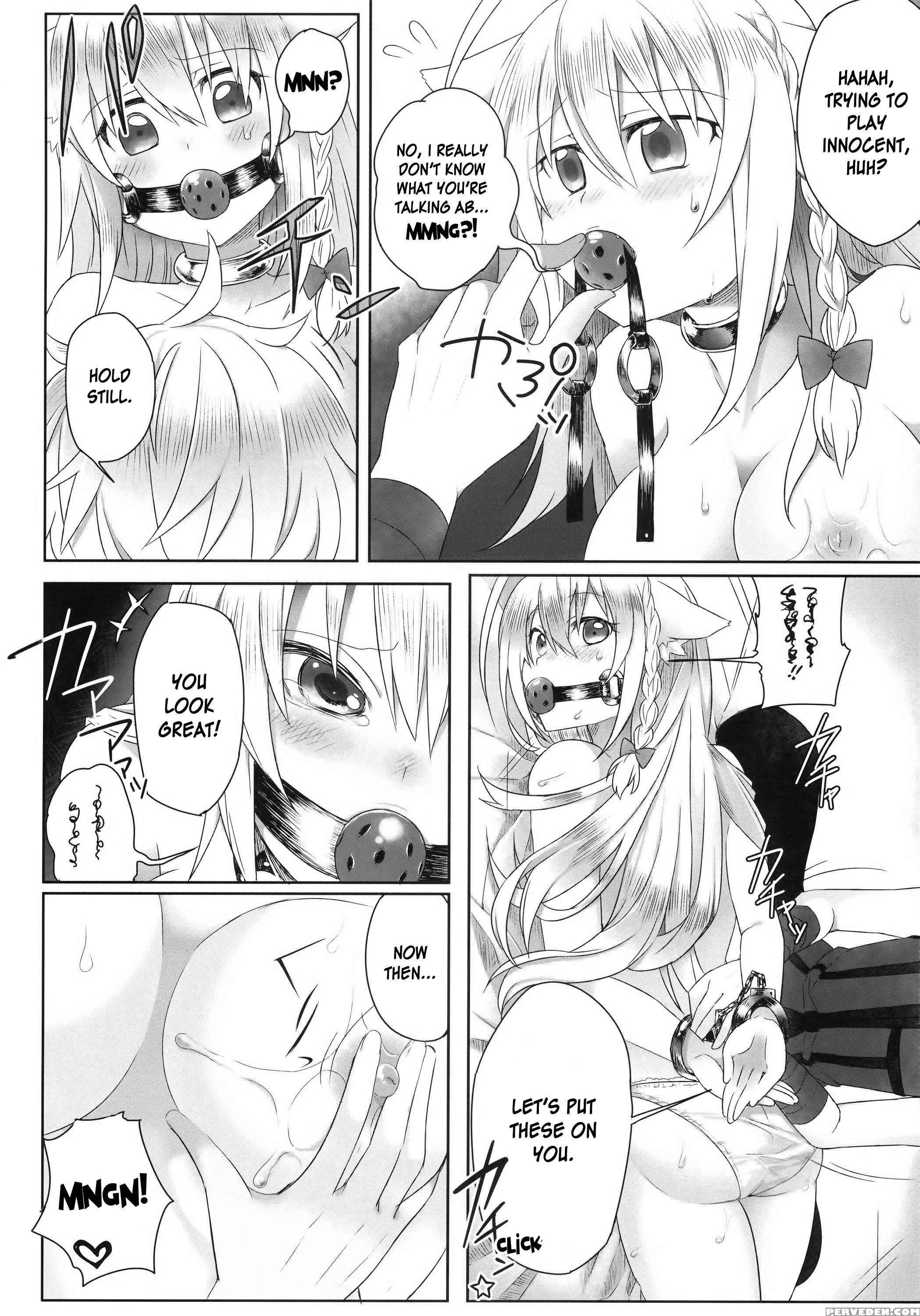 Hatsujou! Neko Hime Choukyou Sen! - Dog Days 1