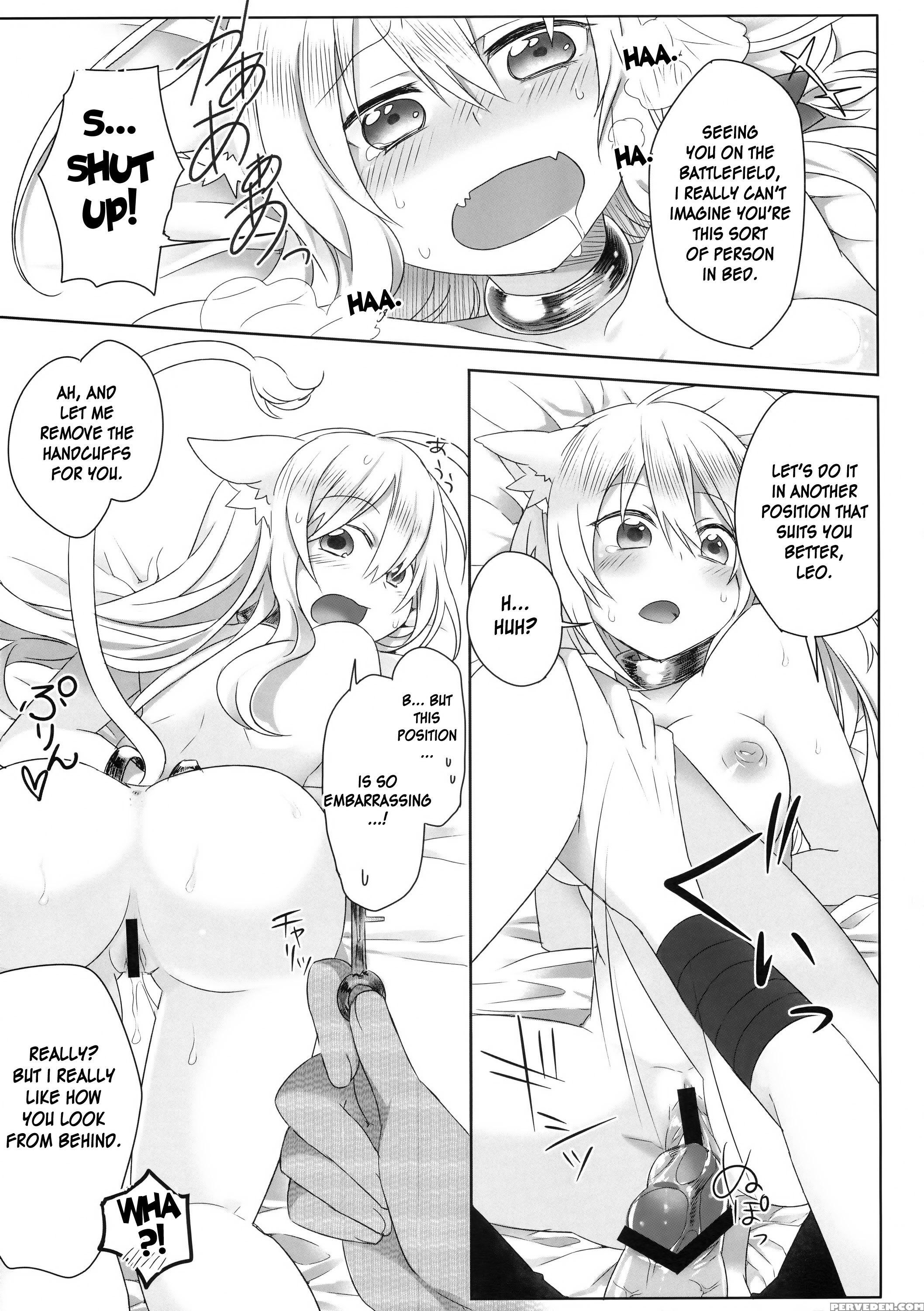 Hatsujou! Neko Hime Choukyou Sen! - Dog Days 1