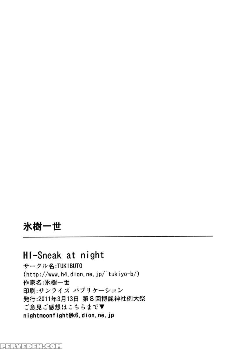 Hi-sneak At Night 1