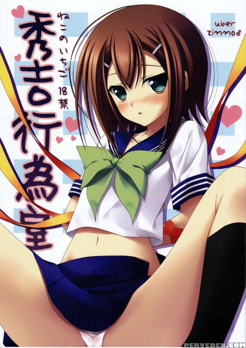 Hideyoshi Koishitsu 1