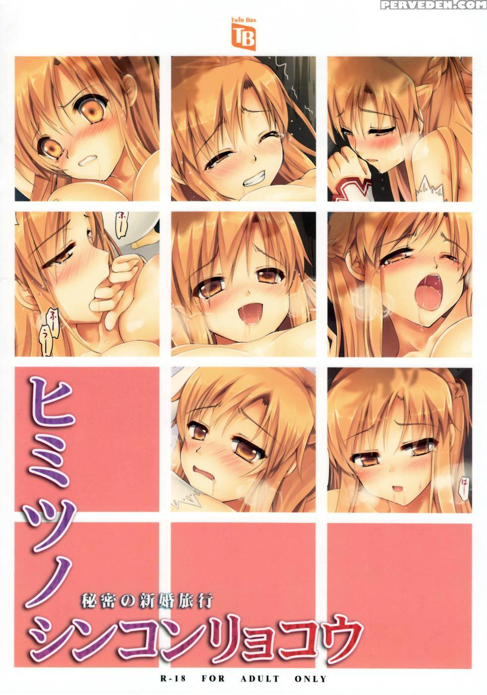 Himitsu No Shinkonryokou - Sword Art Online 1