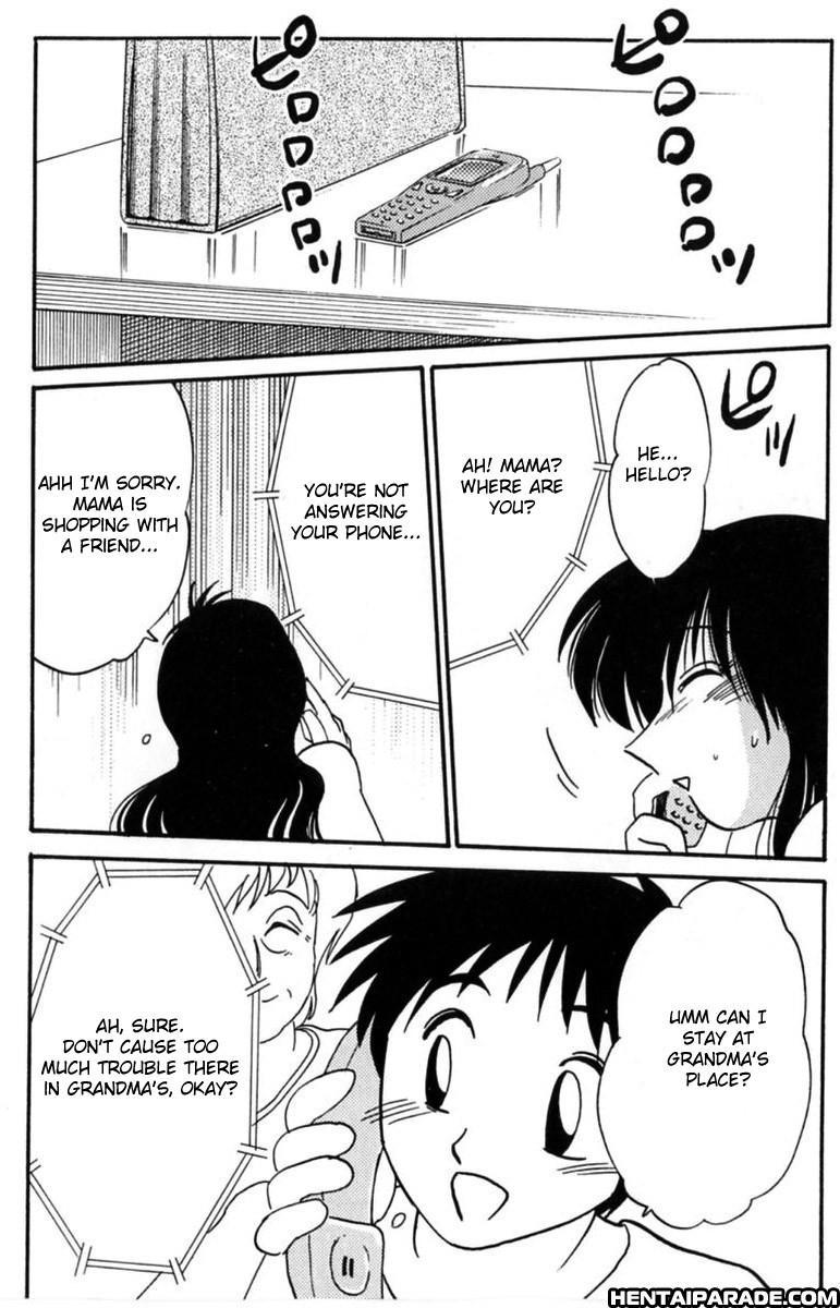 Hisae-san No Haitoku Nikki 5