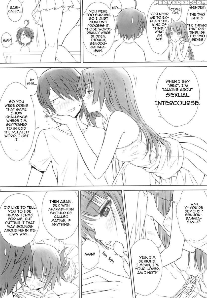 Hitagi One Side 1