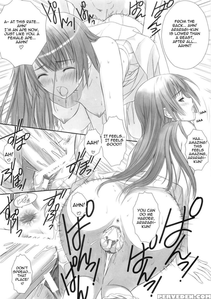 Hitagi One Side 1