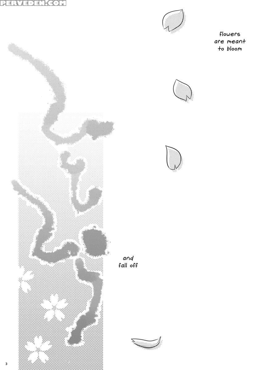 Hitohira 1