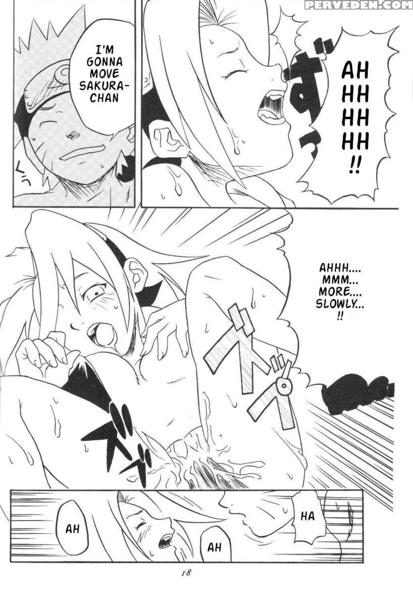 Houkouken 1