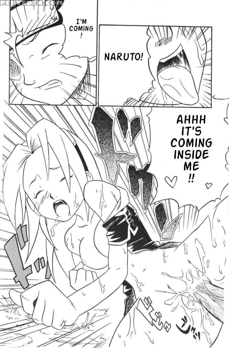 Houkouken 1