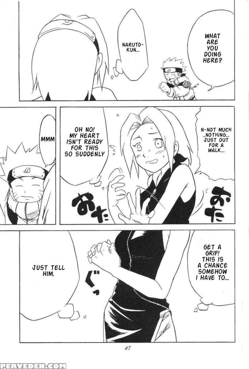 Houkouken 1