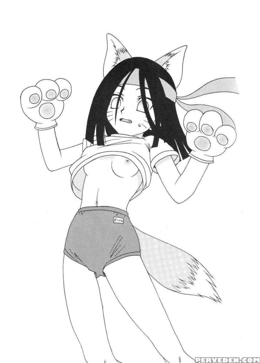 Houkouken 1