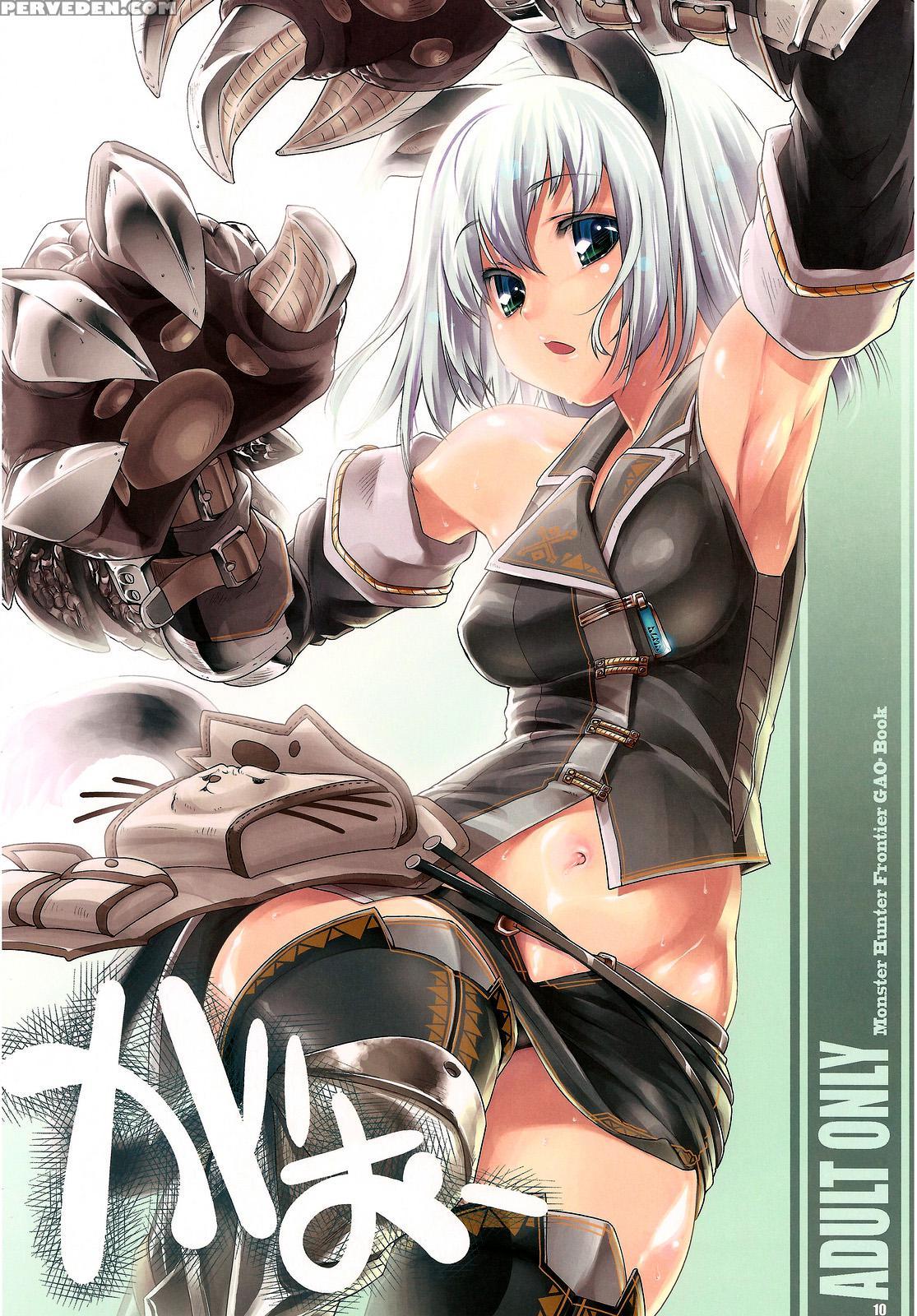 Hunter's Bible Chapter 1 - Kyokyojitsujitsu - Monster Hunter 1