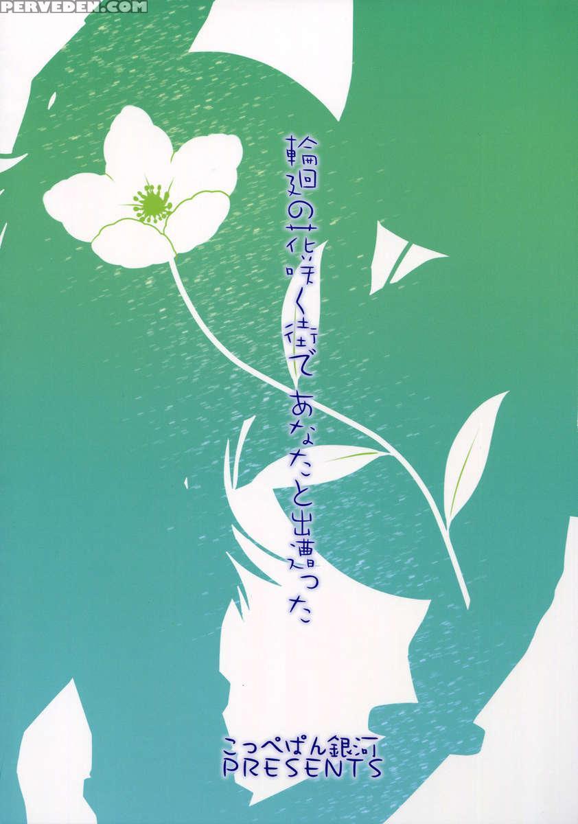 I Met You In The City Where The Flower Of Rinne Blooms 1