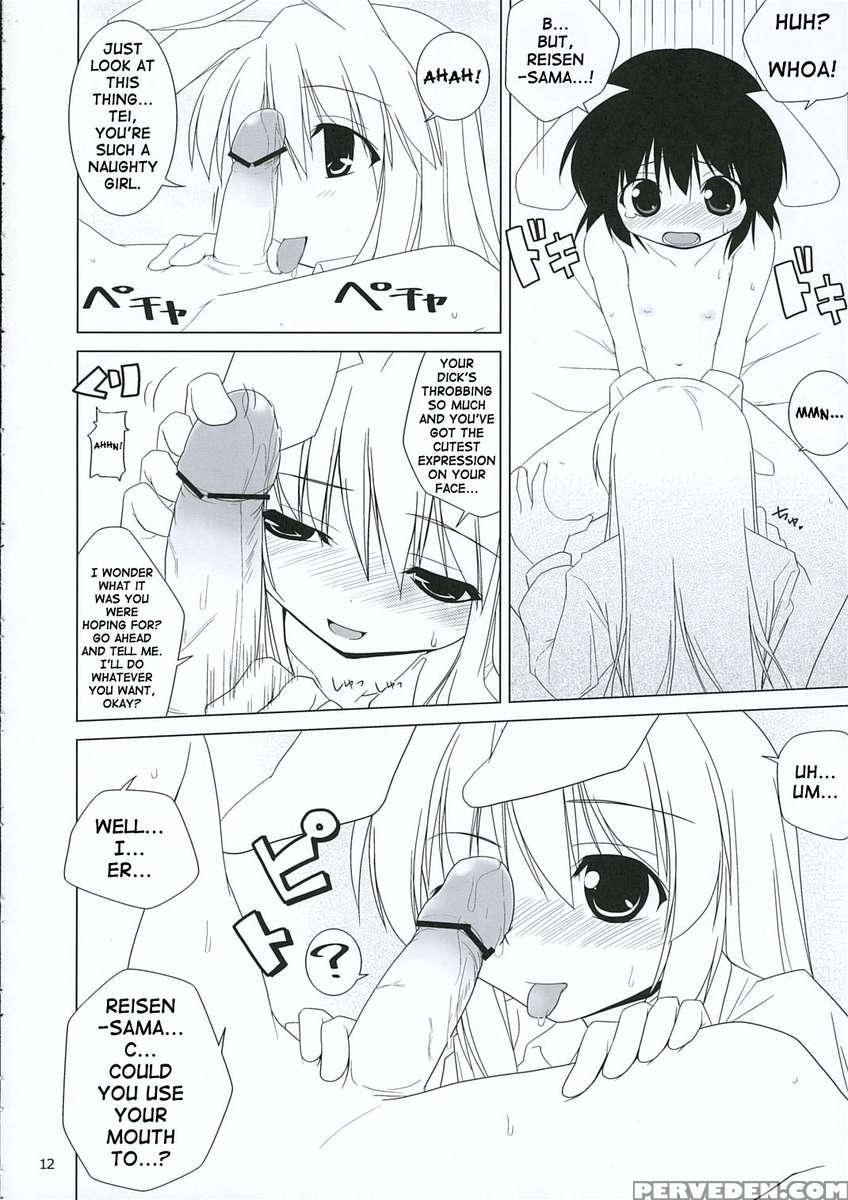 Inaba Box 3 1