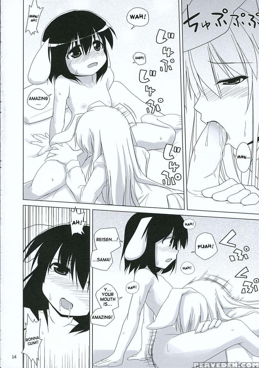 Inaba Box 3 1