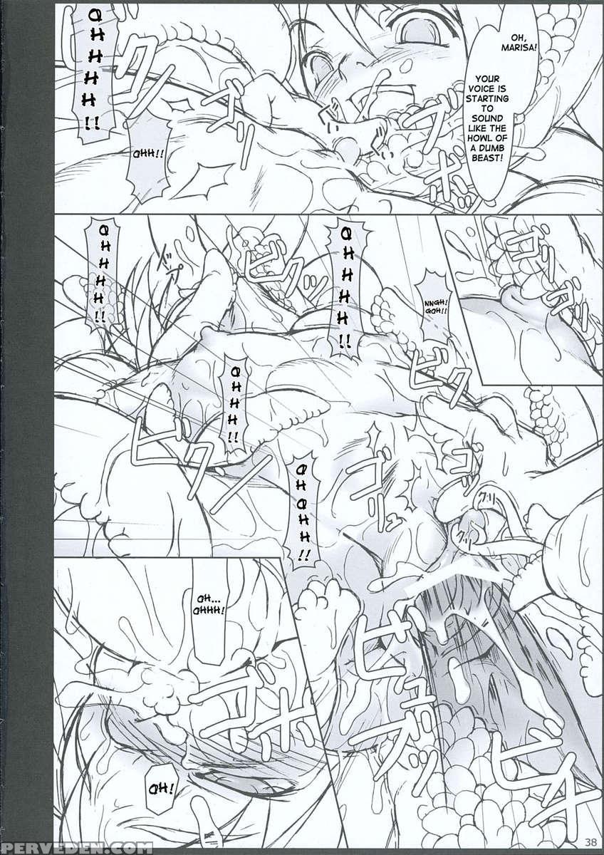 Inaba Box 3 1