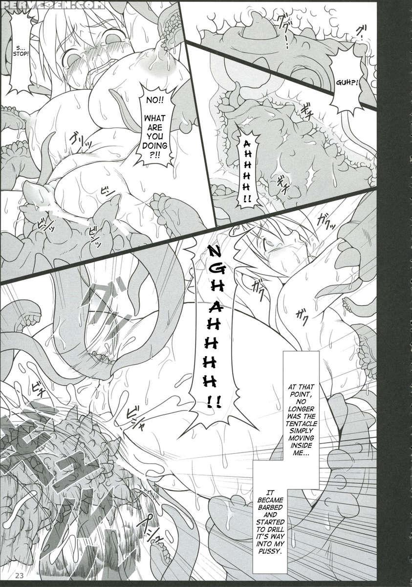 Inaba Box 5 1