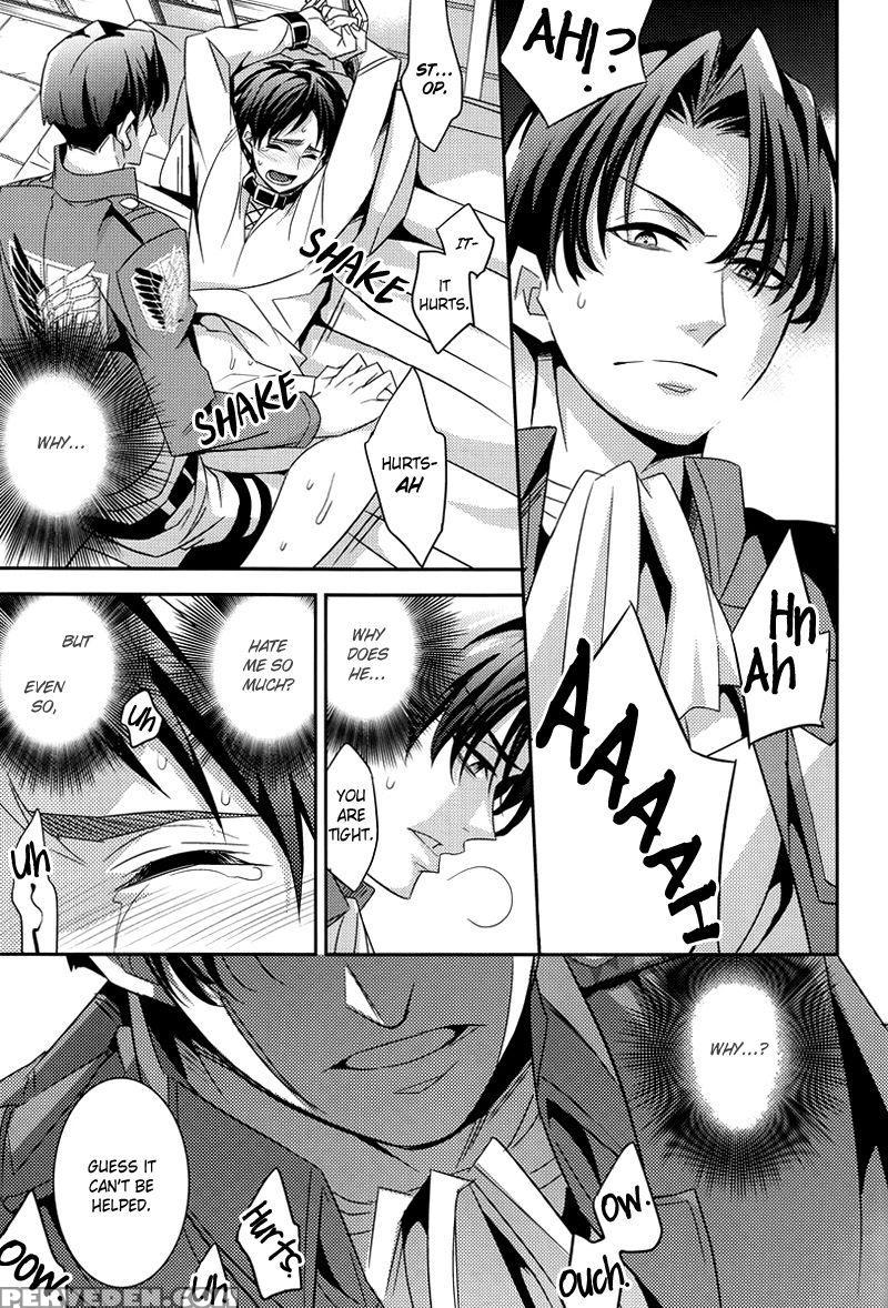 Inu No Mezame - Attack On Titan 1