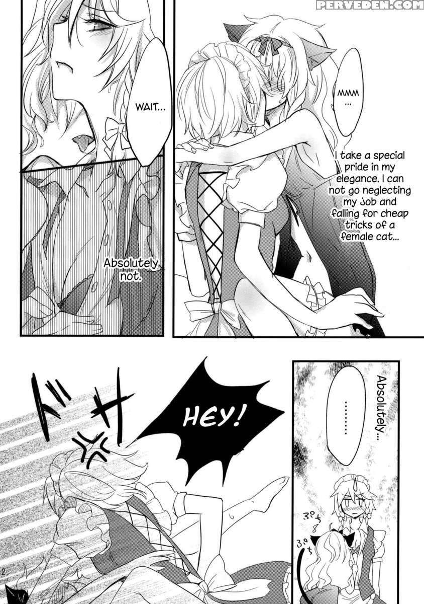 Is It Really Necessary To Do This In Touhou? Chapter 1 Page 11
