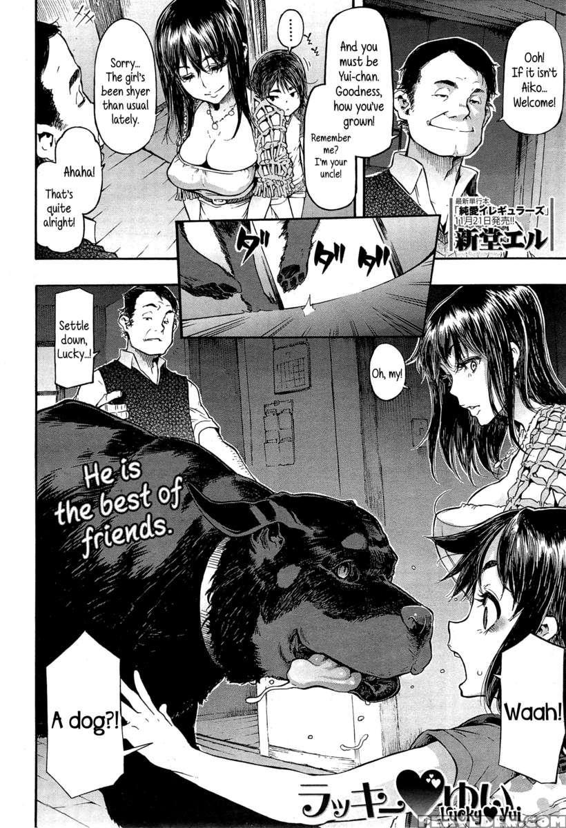 Junai-irregulars 1