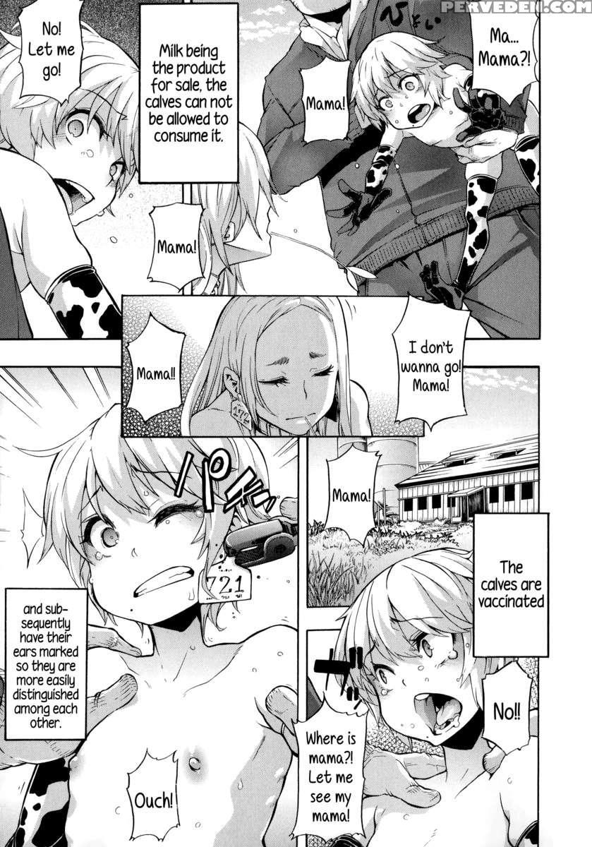 Junai-irregulars 1