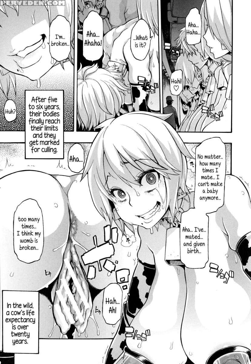 Junai-irregulars 1