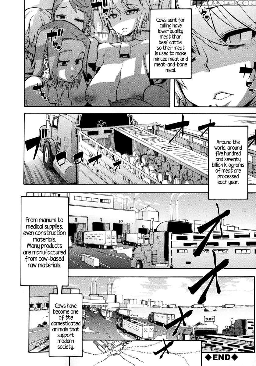 Junai-irregulars 1