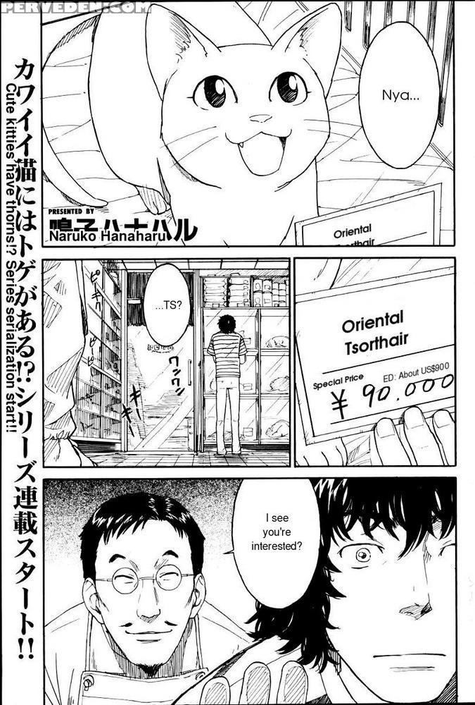 Kairakuten Nene 01 - Original Work 1