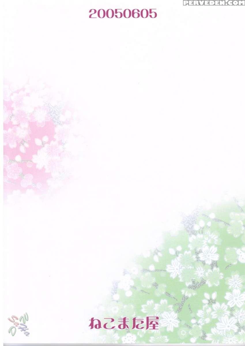 Kan Hi Sakura 1
