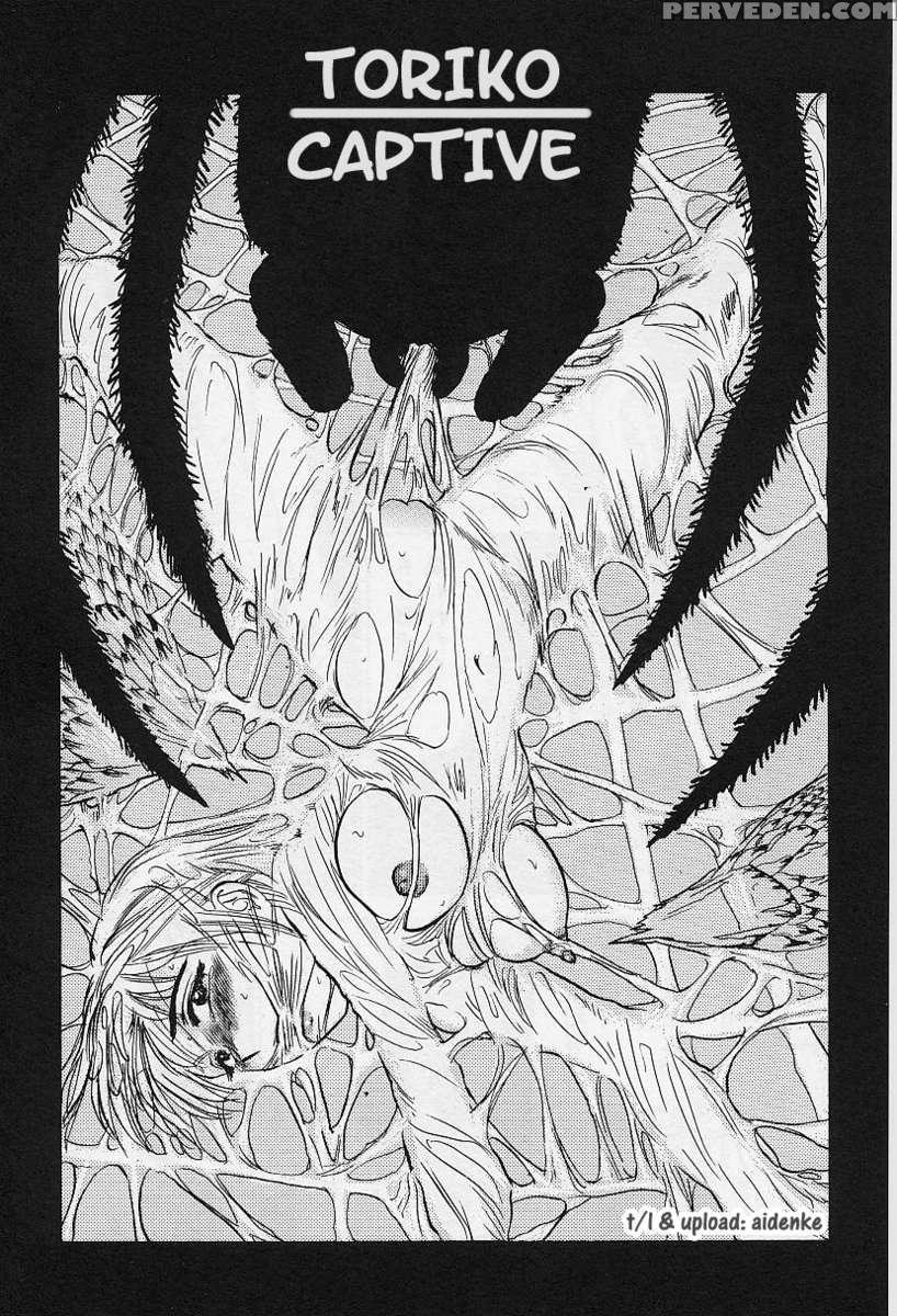 Kankinn Ryoujoku 1