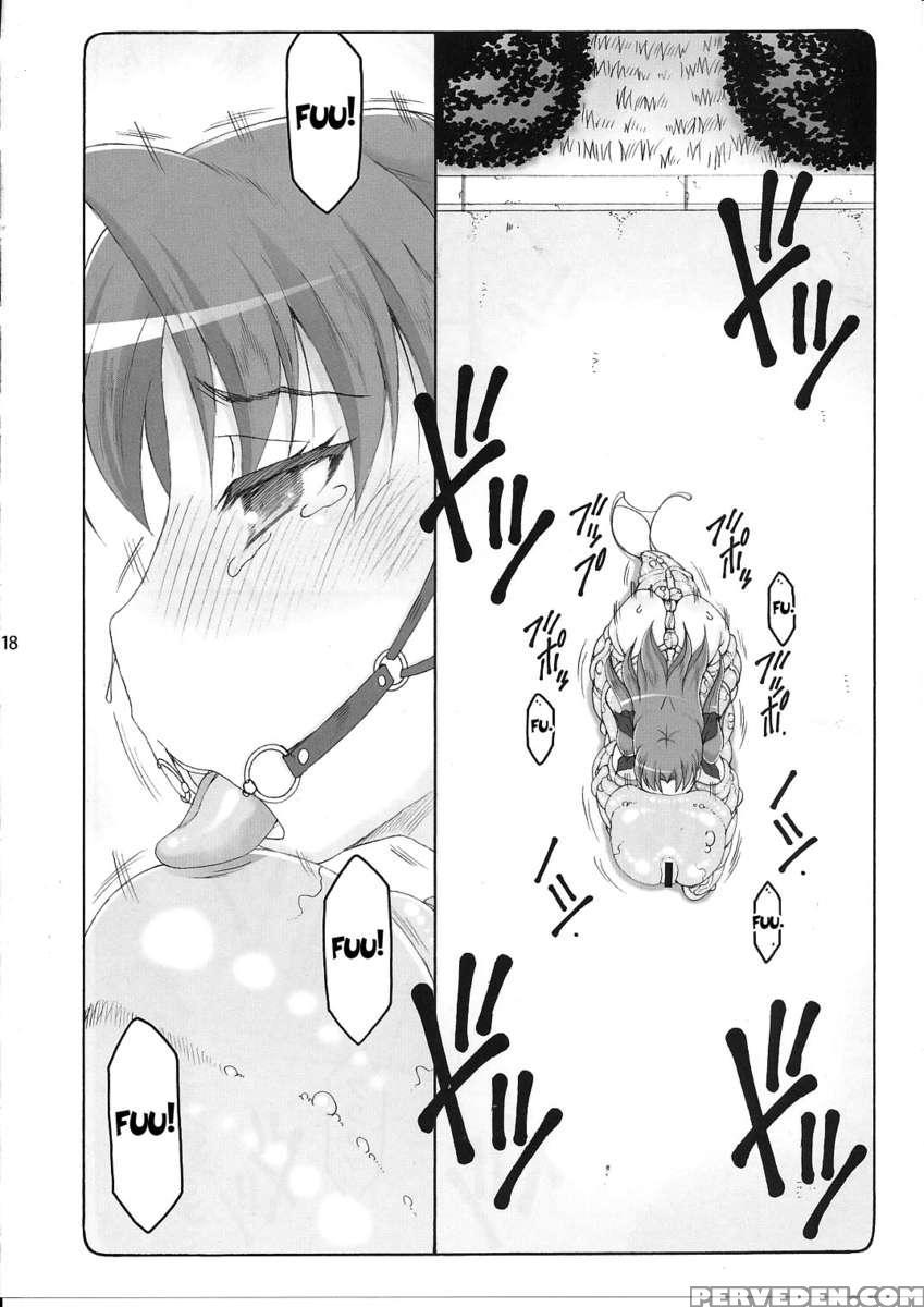 Kotori 11 1