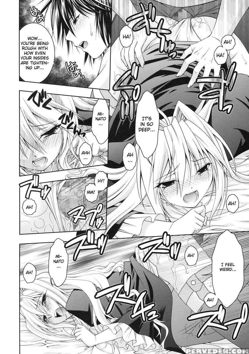 Kuma To Nizu Ga Awasari Saikyou 1